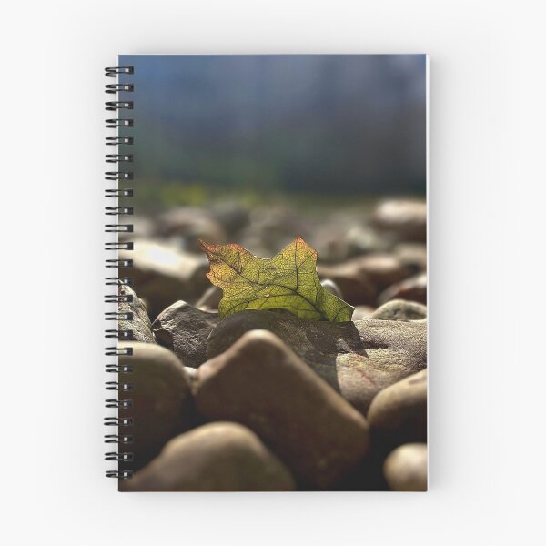 Item preview, Fallen leaf on a pebbles designed and sold by Baulmonart.