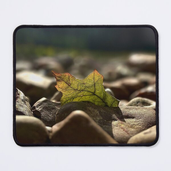 Item preview, Fallen leaf on a pebbles designed and sold by Baulmonart.