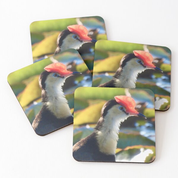 Item preview, Comb-crested Jacana  designed and sold by Mark Grimsley.