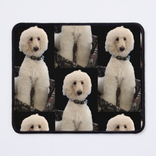 Item preview, Fluffy White Poodle Dog Portrait designed and sold by pbchan.