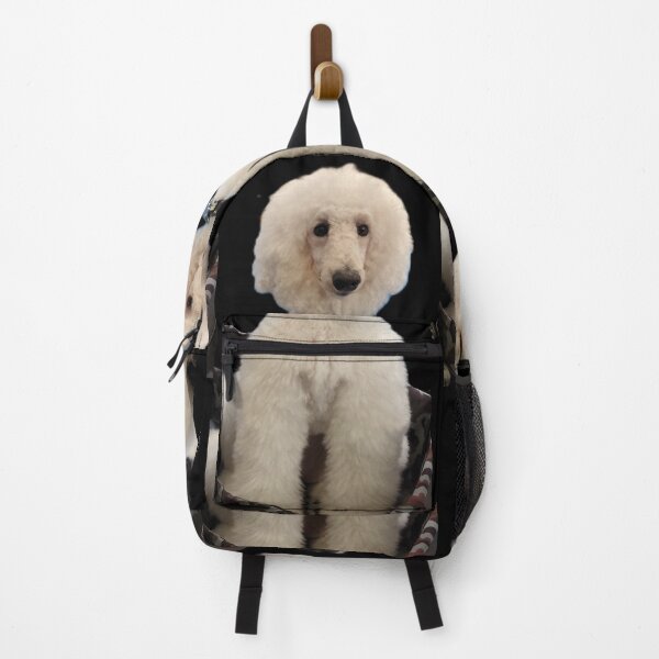 Item preview, Fluffy White Poodle Dog Portrait designed and sold by pbchan.
