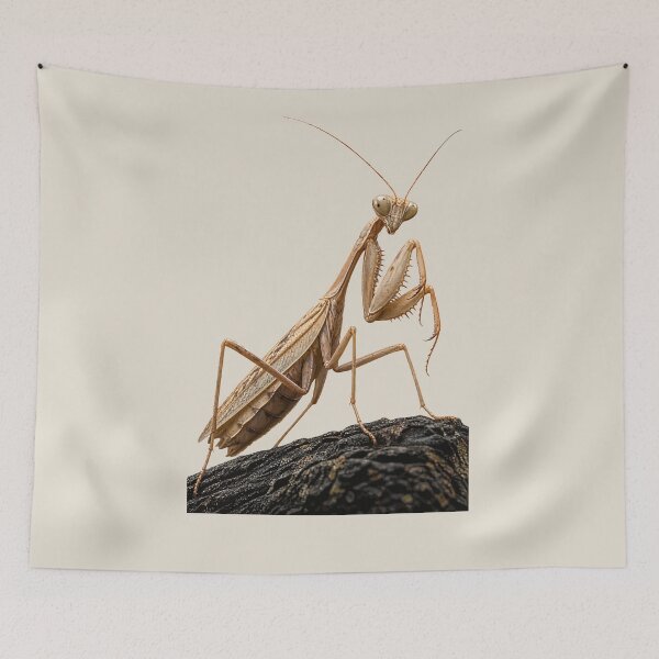 Item preview, Pray And Slay The Watchful Mantis designed and sold by taiche.