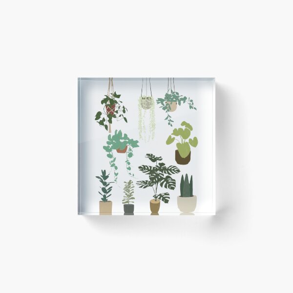 Item preview, Green room plants designed and sold by DesignsbyRocky.