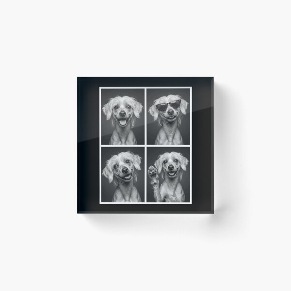 Item preview, Funny Chinese Crested Dog Selfie Photo Photobooth Dog Lover designed and sold by dian-rody-crest.