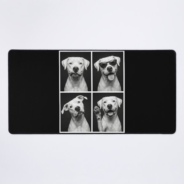 Item preview, Funny Dogo Argentino Selfie Photo Photobooth Dog Lover designed and sold by dian-rody-crest.