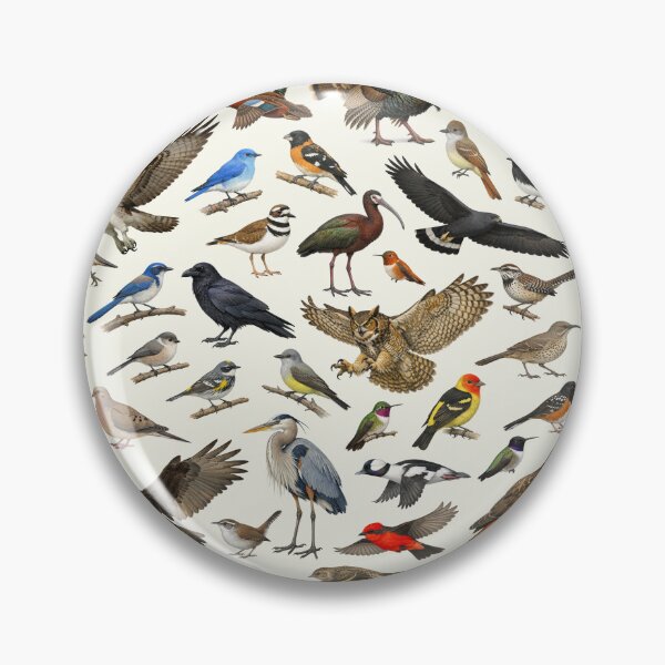 Item preview, Native Birds of New Mexico Retro Identification Chart designed and sold by kakarikihill.
