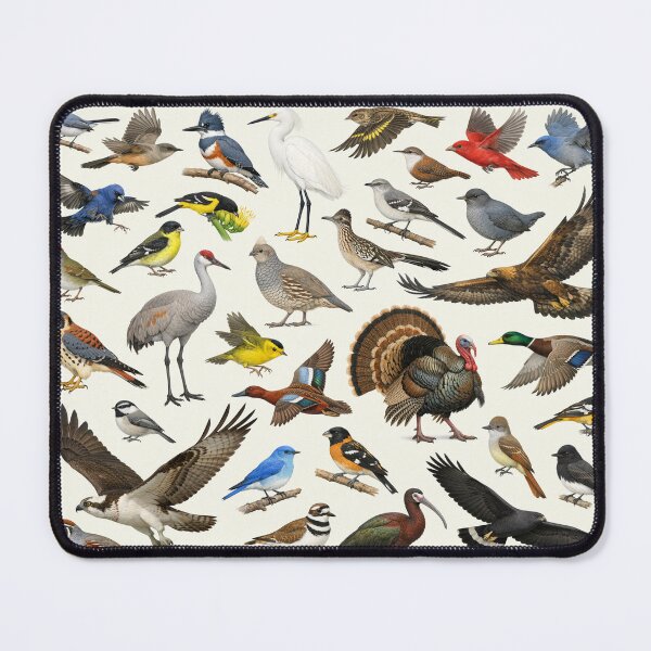 Item preview, Native Birds of New Mexico Retro Identification Chart designed and sold by kakarikihill.