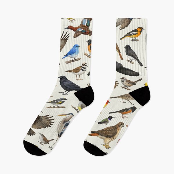 Item preview, Native Birds of New Mexico Retro Identification Chart designed and sold by kakarikihill.