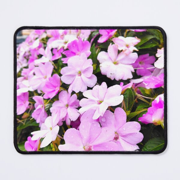 Item preview, Pink flowers with eater droplets in Hong Kong designed and sold by pbchan.