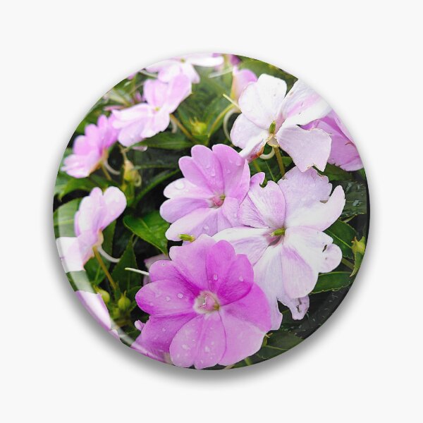 Item preview, Pink flowers with water droplets designed and sold by pbchan.