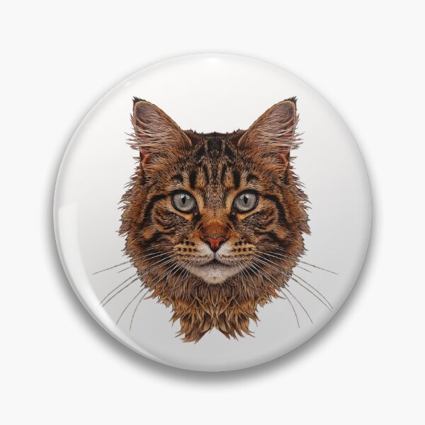 Item preview, Maine Coon cat, the most beautiful cat photos, popular cat designs designed and sold by Kirei-Lily.