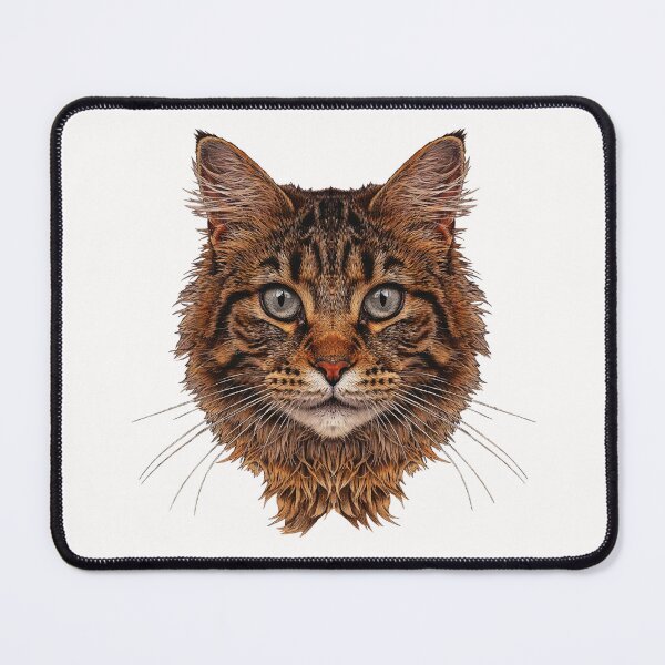 Item preview, Maine Coon cat, the most beautiful cat photos, popular cat designs designed and sold by Kirei-Lily.