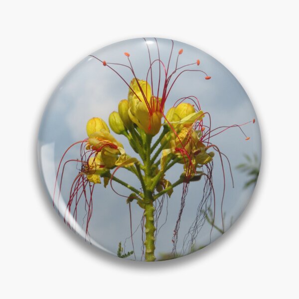 Item preview, Adriatic Yellow Flower designed and sold by wiggyofipswich.