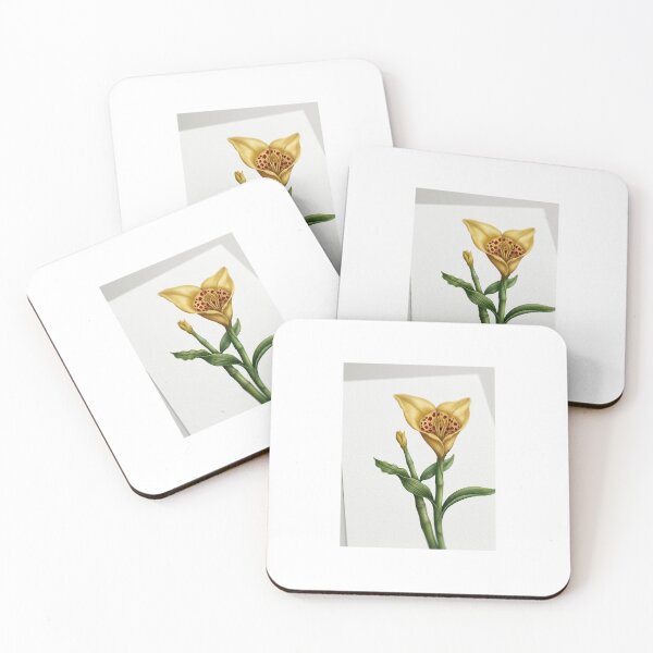 Item preview, ​Vintage Yellow Orchid Botanical Illustration  designed and sold by SofiaByCruti.