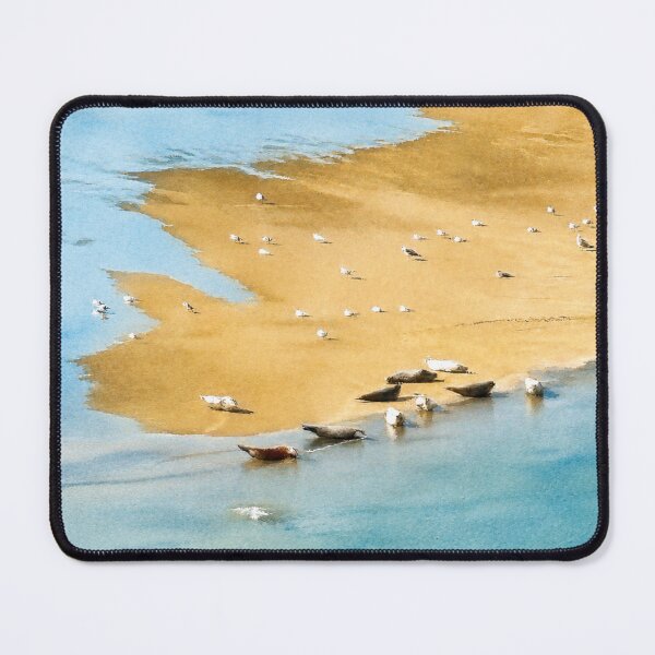 Item preview, Watercolour Seals on French Coast | Coastal Wildlife Art Print designed and sold by TheSlowShore.