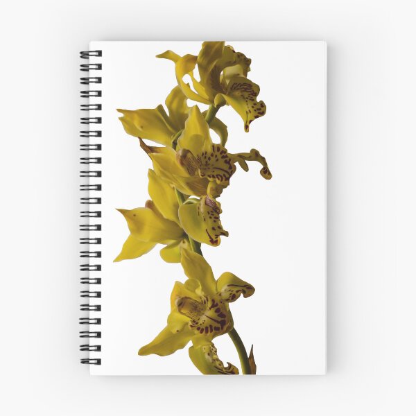 Item preview, yellow orchid, fine art designed and sold by floral25.