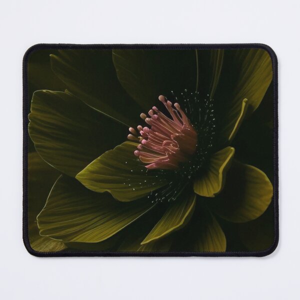 Item preview, Dark Olive Green Hellebore Floral Moody Botanical Illustration designed and sold by LYAN-STORE.