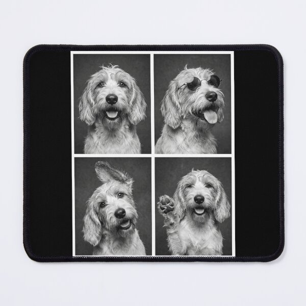 Item preview, Funny Petit Basset Griffon Vendeen Selfie Photo Photobooth Dog Lover designed and sold by dian-rody-crest.