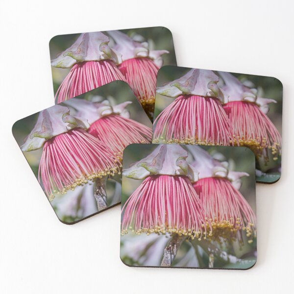 Item preview, Eucalyptus alatissima Macro – Fine Art Photography Print designed and sold by MinzMarchStudio.