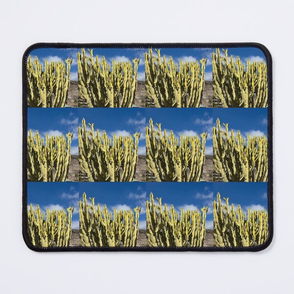 Item preview, Sunlit Variegated Cactus Under Blue Sky designed and sold by Julia9632.