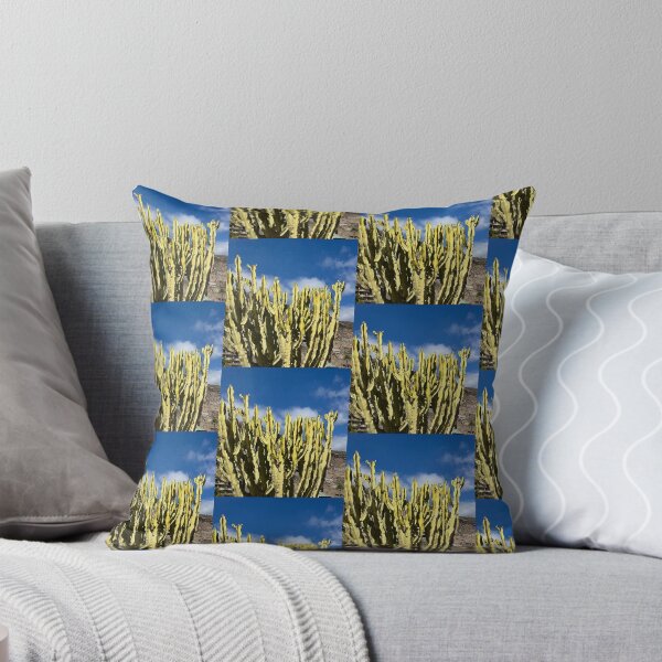 Item preview, Sunlit Variegated Cactus Under Blue Sky⁠ designed and sold by Julia9632.