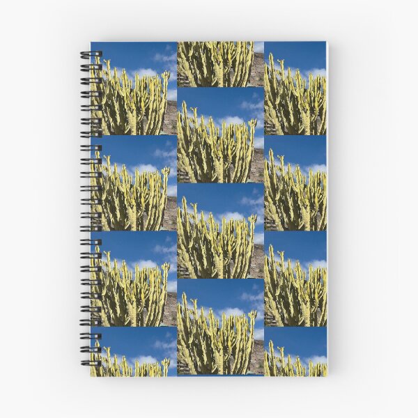 Item preview, Sunlit Variegated Cactus Under Blue Sky⁠ designed and sold by Julia9632.