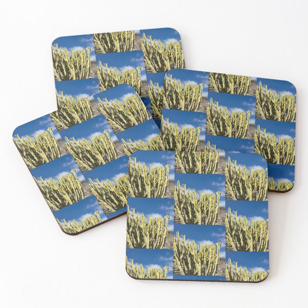 Item preview, Sunlit Variegated Cactus Under Blue Sky⁠ designed and sold by Julia9632.