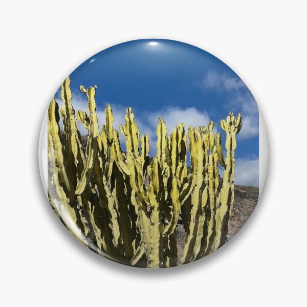 Item preview, Sunlit Variegated Cactus Under Blue Sky⁠ designed and sold by Julia9632.