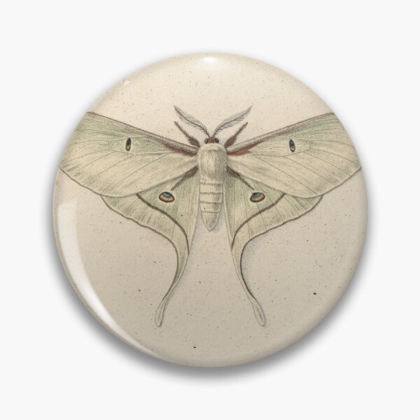 Item preview, Luna Moth Natural History Plate Print designed and sold by PictorialWhimsy.