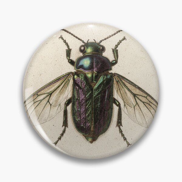Item preview, Vintage Beetle Specimen Natural History Plate designed and sold by PictorialWhimsy.