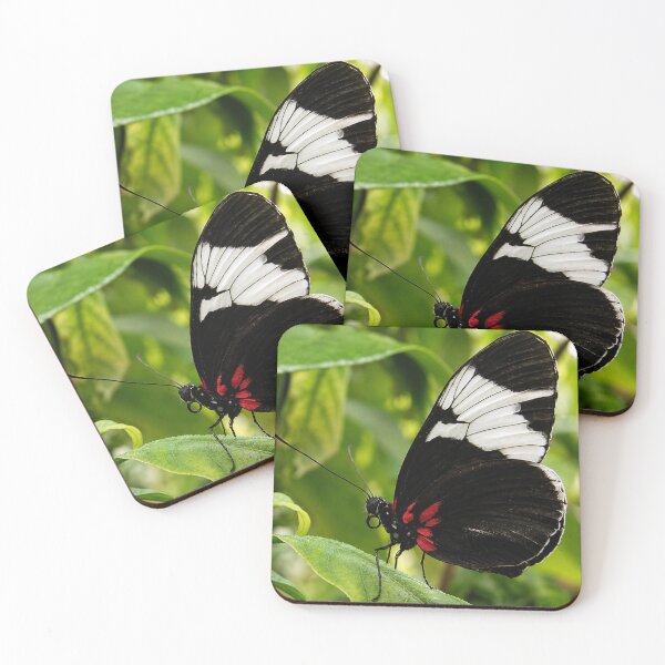 Item preview, Elegant Sapho Longwing Butterfly Resting on a Green Leaf designed and sold by Astute-Artio-Photography.