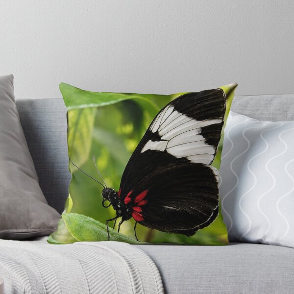 Item preview, Elegant Sapho Longwing Butterfly Resting on a Green Leaf designed and sold by Astute-Artio-Photography.