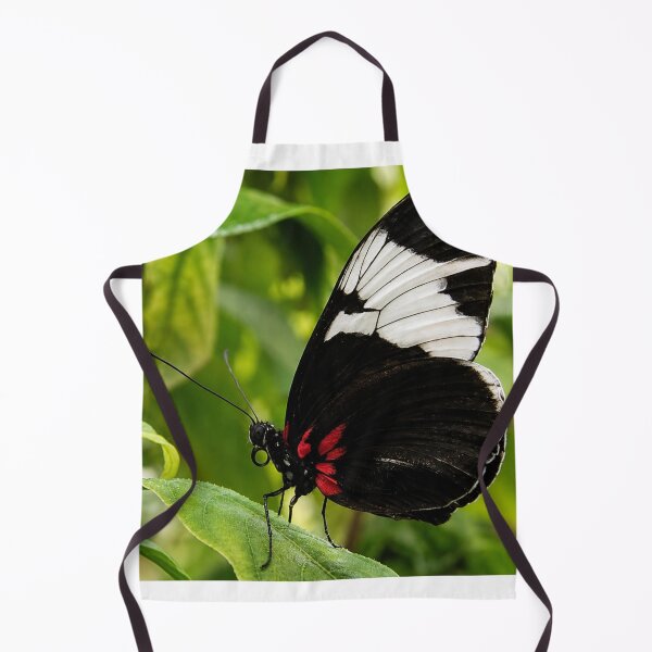 Item preview, Elegant Sapho Longwing Butterfly Resting on a Green Leaf designed and sold by Astute-Artio-Photography.