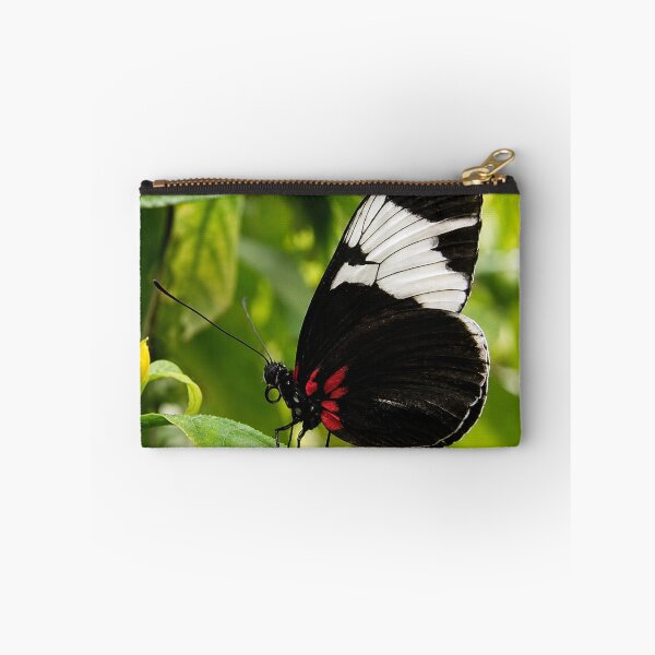Item preview, Elegant Sapho Longwing Butterfly Resting on a Green Leaf designed and sold by Astute-Artio-Photography.