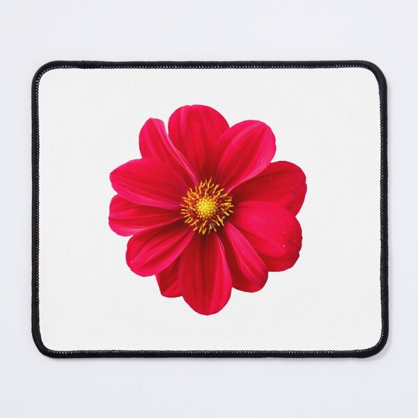 Item preview, Vibrant Red Dahlia Flower Illustration Graphic designed and sold by AyaanArtStudio.