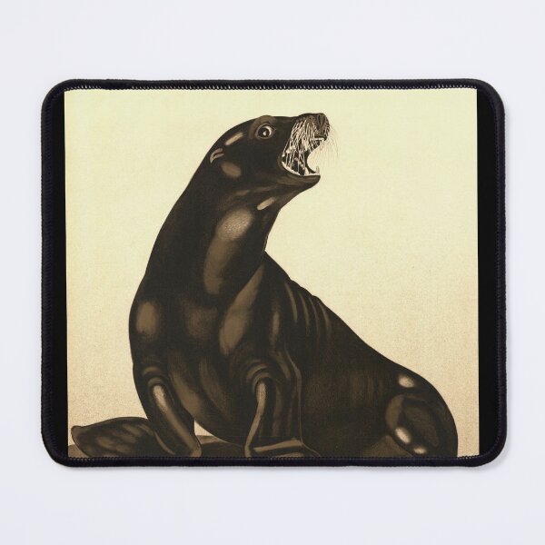 Item preview, Vintage Basel Zoo Poster | Early 20th Century Seal Art | Art Nouveau Lithograph | Swiss Zoo History | Realistic Wildlife Illustration designed and sold by artofuniverse.