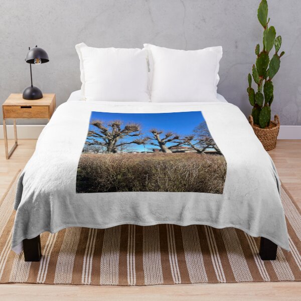 Item preview, Unique Pollarded Trees Under Blue Sky designed and sold by Julia9632.