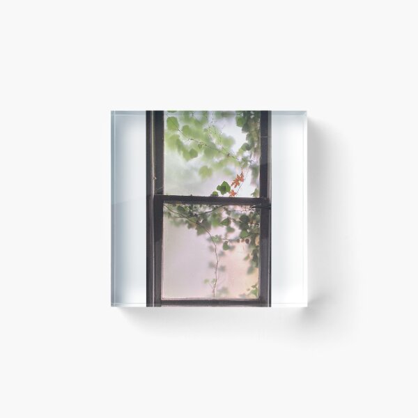 Item preview, Nature Framed designed and sold by Jeanne Henner.