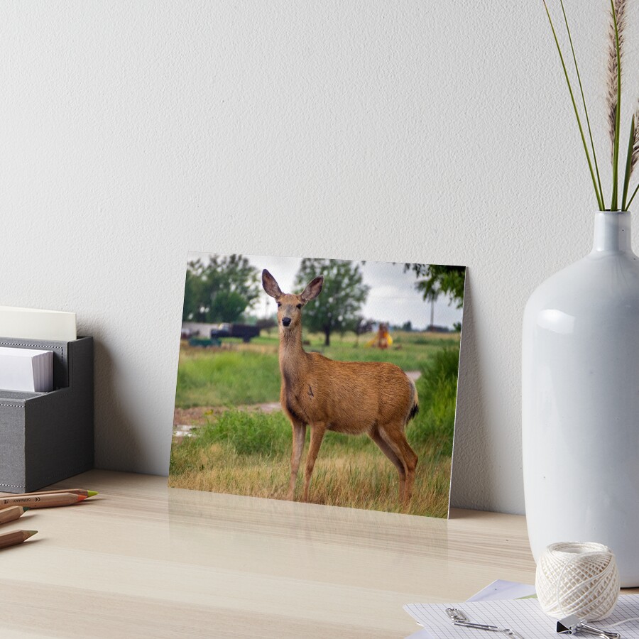 Item preview, Art Board Print designed and sold by algill.