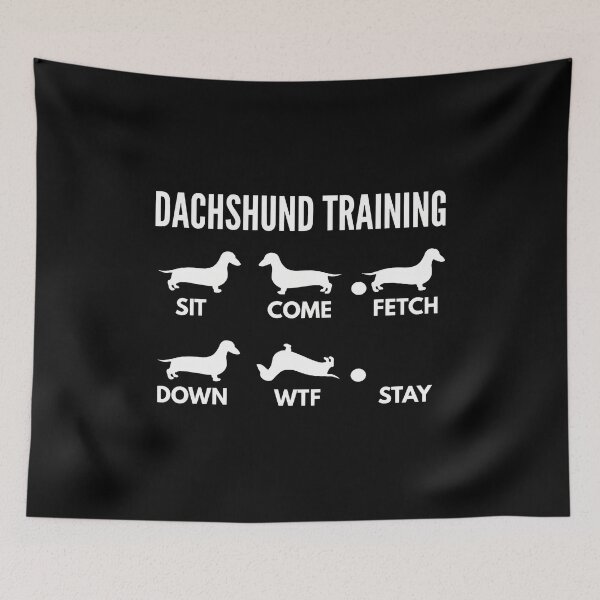 Item preview, Dachshund Training Funny Dog Commands Pet Humor designed and sold by SoyLamderma.