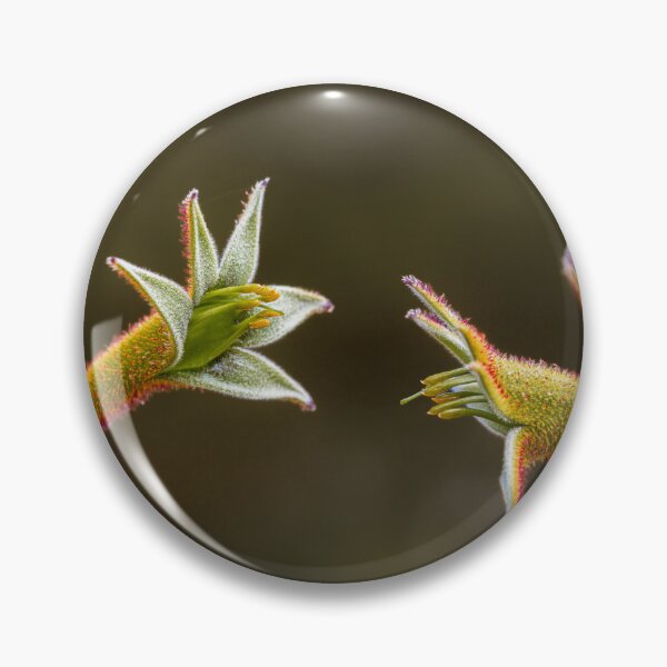 Item preview, Kangaroo Paw Botanical Macro Dialogue – Fine Art Photography Print designed and sold by MinzMarchStudio.