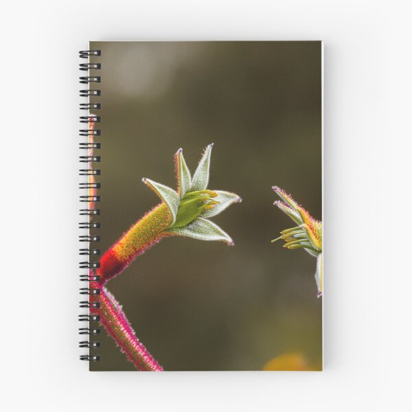 Item preview, Kangaroo Paw Botanical Macro Dialogue – Fine Art Photography Print designed and sold by MinzMarchStudio.