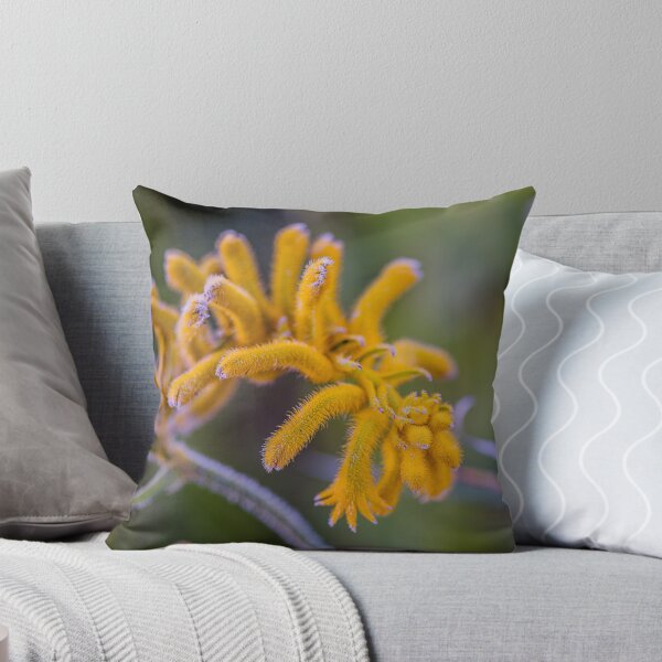 Item preview, Golden Yellow Kangaroo Paw Macro – Fine Art Photography Print designed and sold by MinzMarchStudio.