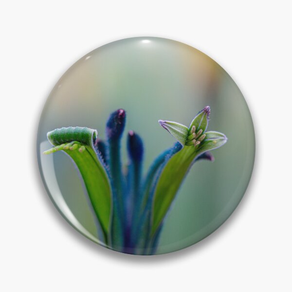 Item preview, Blue Masquerade Kangaroo Paw  Anigozanthos Macro - Fine Art PhotographyPrint designed and sold by MinzMarchStudio.