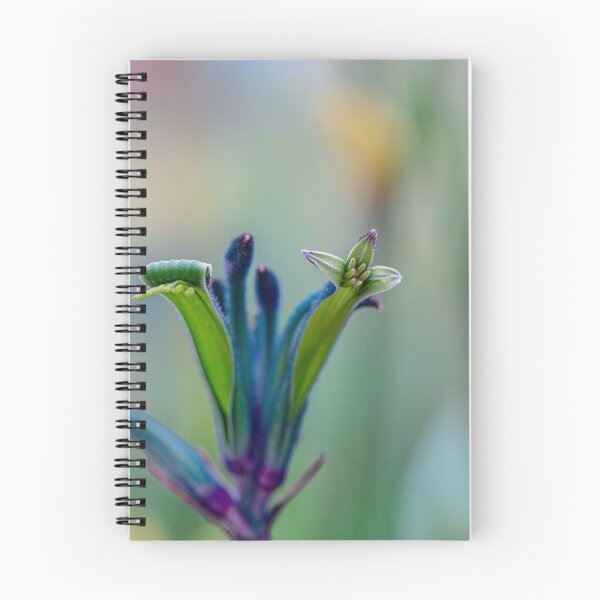 Item preview, Blue Masquerade Kangaroo Paw  Anigozanthos Macro - Fine Art PhotographyPrint designed and sold by MinzMarchStudio.