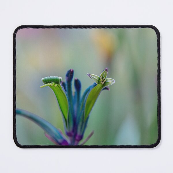 Item preview, Blue Masquerade Kangaroo Paw  Anigozanthos Macro - Fine Art PhotographyPrint designed and sold by MinzMarchStudio.