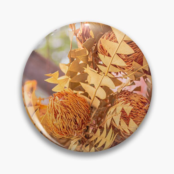 Item preview, Baxter's Banksia Photography – Fine Art Print designed and sold by MinzMarchStudio.
