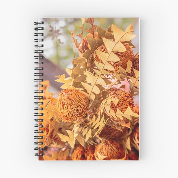 Item preview, Baxter's Banksia Photography – Fine Art Print designed and sold by MinzMarchStudio.