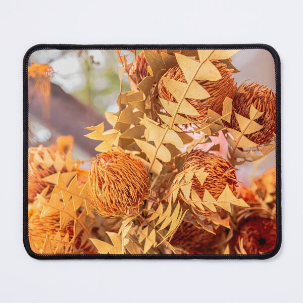 Item preview, Baxter's Banksia Photography – Fine Art Print designed and sold by MinzMarchStudio.