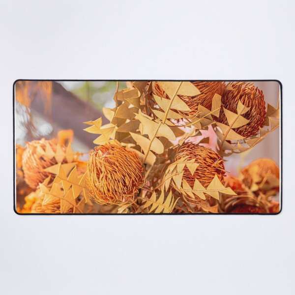 Item preview, Baxter's Banksia Photography – Fine Art Print designed and sold by MinzMarchStudio.